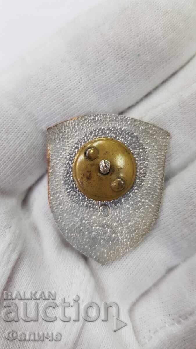 Uniquely rare Red Cross Mountain Service badge №5!!! - 5