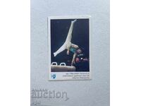 Levski - Spartak Calendar, Lyubomir Geraskov, 1989