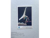 Levski - Spartak Calendar, Lyubomir Geraskov, 1989