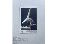 Levski - Spartak Calendar, Lyubomir Geraskov, 1989