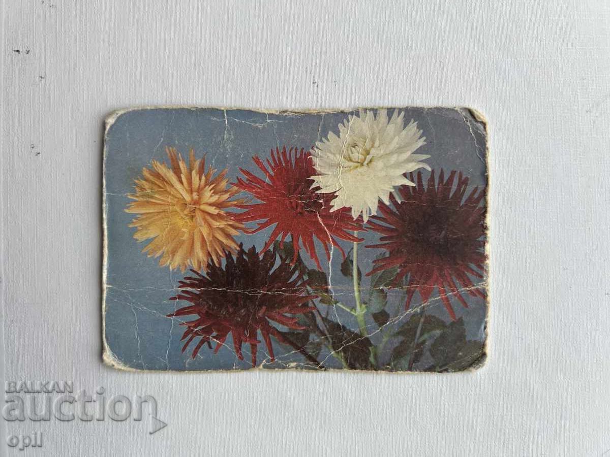 Calendar 1990 Calendar 1990