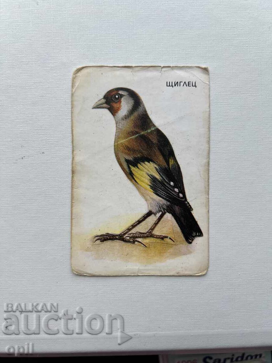 Calendar 1990 Calendar 1990