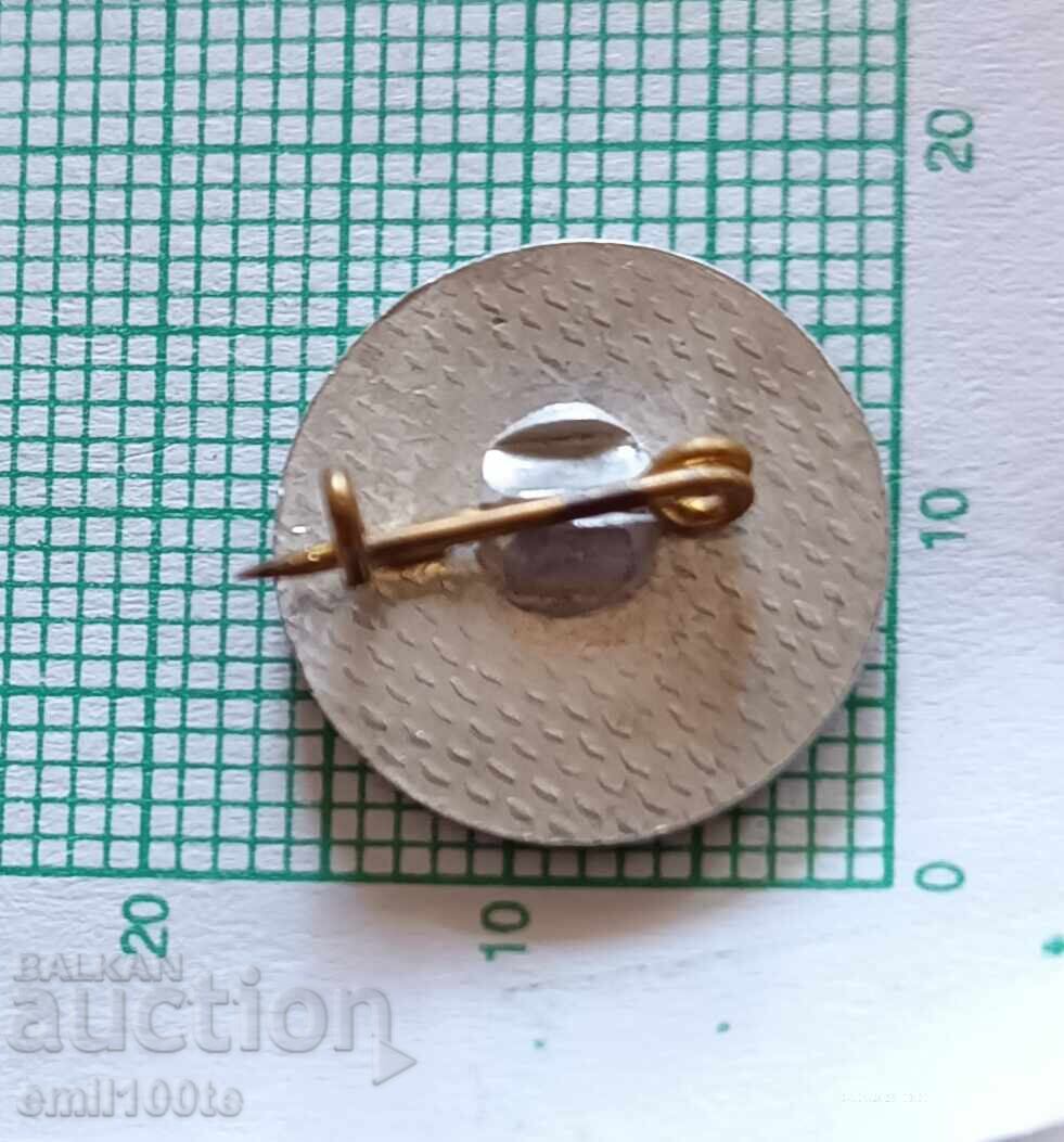 Delivery of Badge - Academic Sofia