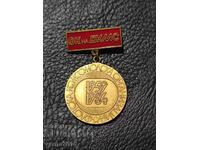 Σπάνιο Σήμα Ποδοσφαιρικού Συλλόγου ΦΚ της DKMS Φλοτσκ Κομσομόλσκα Οργάνισα