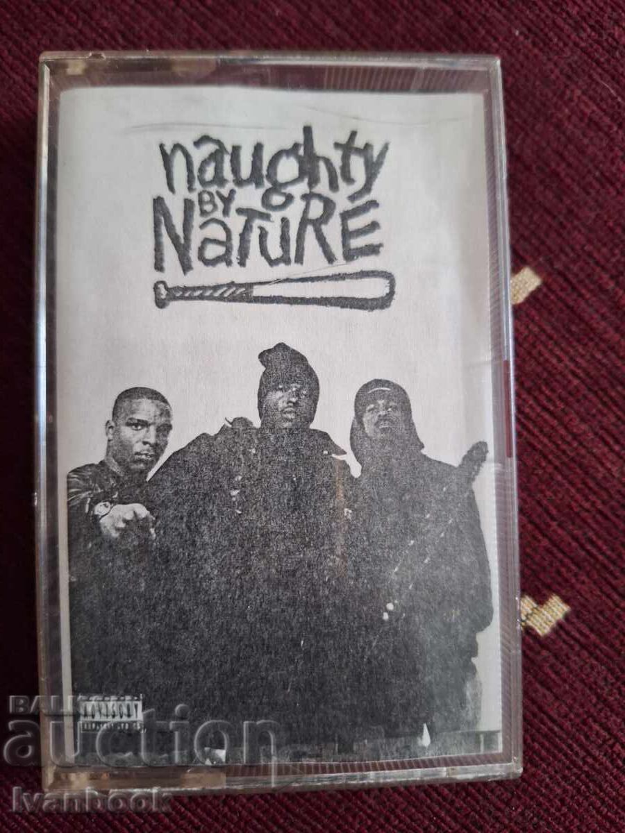 Audio cassette - Naughty by Nature