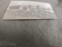 Dobrich 1929, Τα θεμέλια του Βουλγαρικού Γυμνασίου