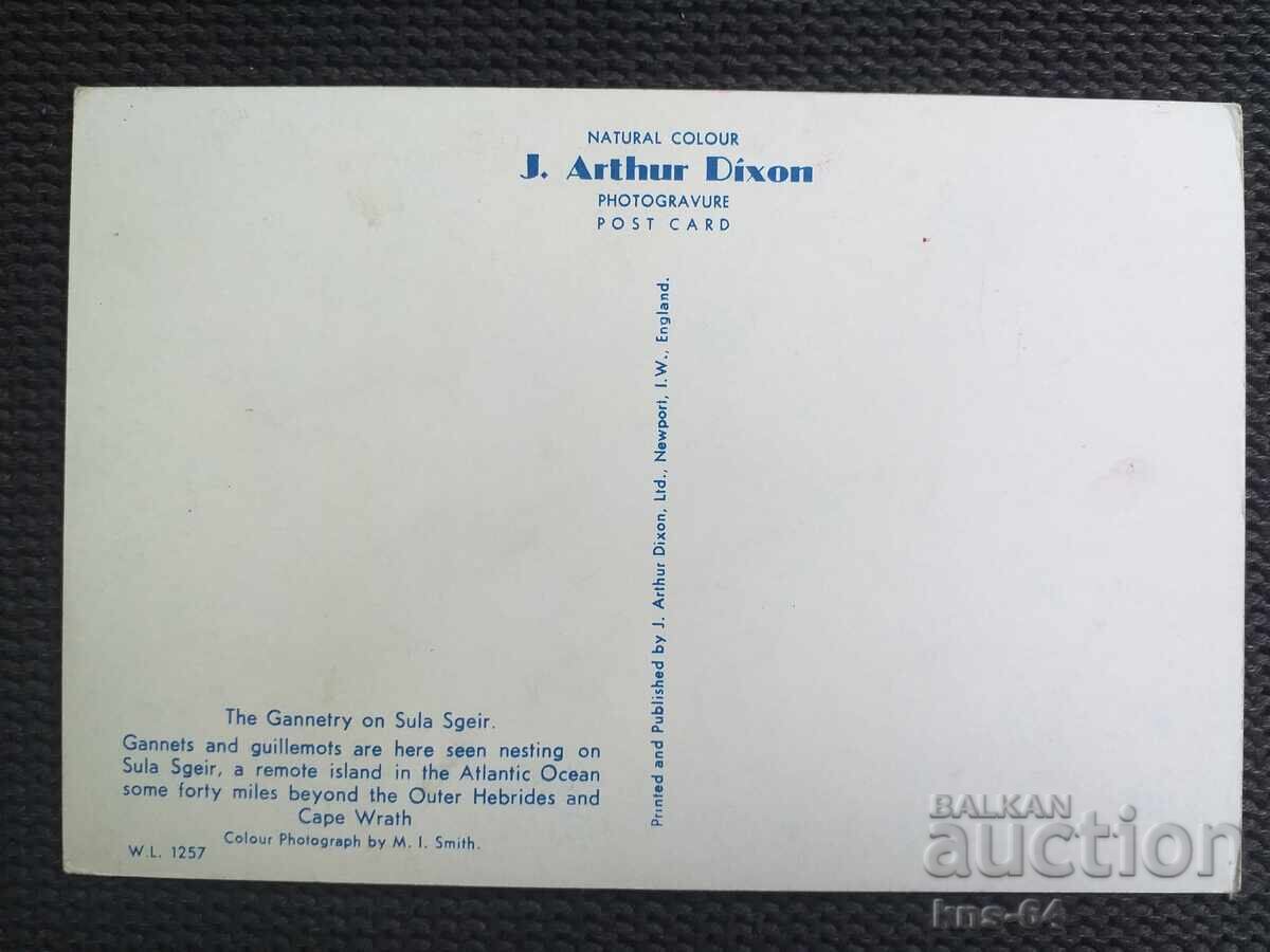 Penguins with price 0.75 BGN | € 0.38 Penguins with price 0.75 BGN | € 0.38