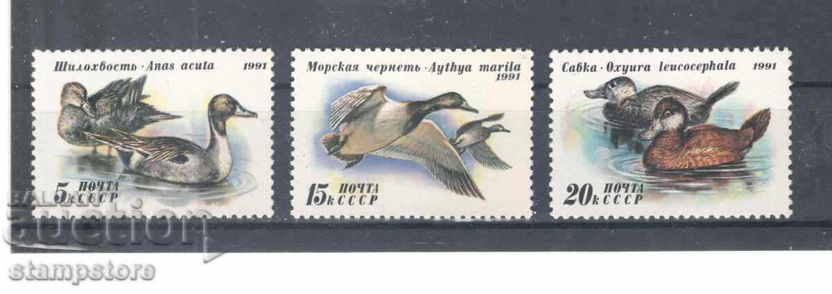 USSR - Birds USSR - Birds