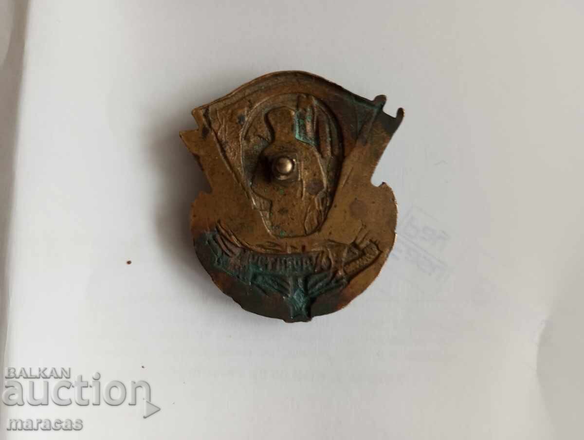 Δημοπρασία Πρώιμο σοσιαλιστικό σήμα στήθους