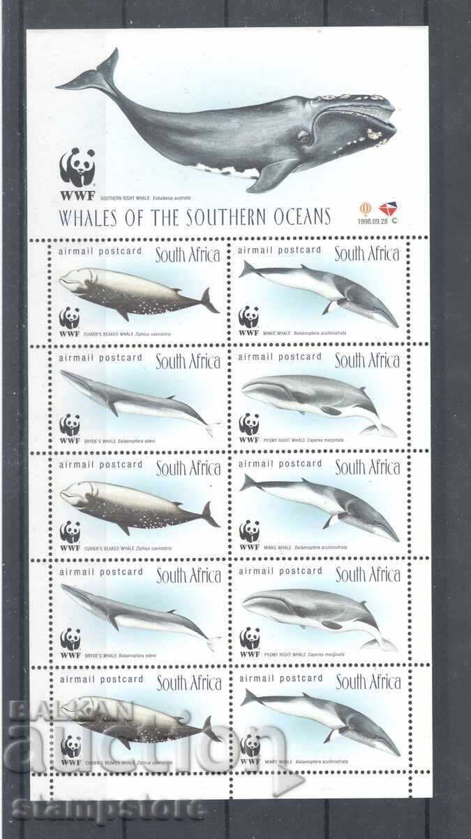 South Africa - Small Shark Sheet