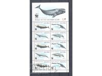 South Africa - Small Shark Sheet