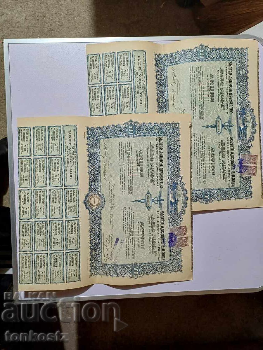 2 pcs. White Sea shares 1917. 2 pcs. White Sea shares 1917.