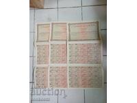 3 buc. Acțiuni Stara Planina 1929g