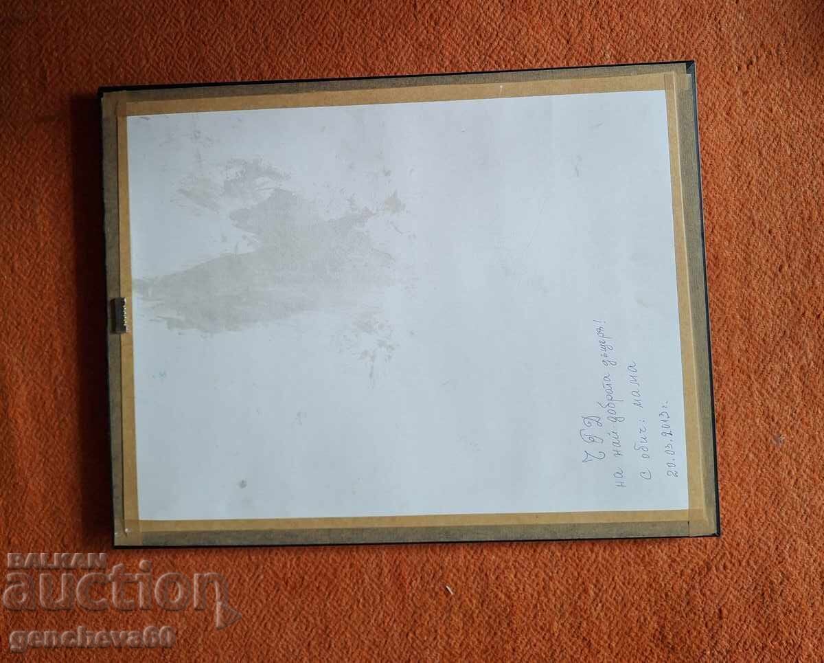 Goblen frumos „Pereche de lebede”, sticlă și ramă - 7