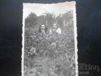 Old photo, August 1944, village Lŭdzhene