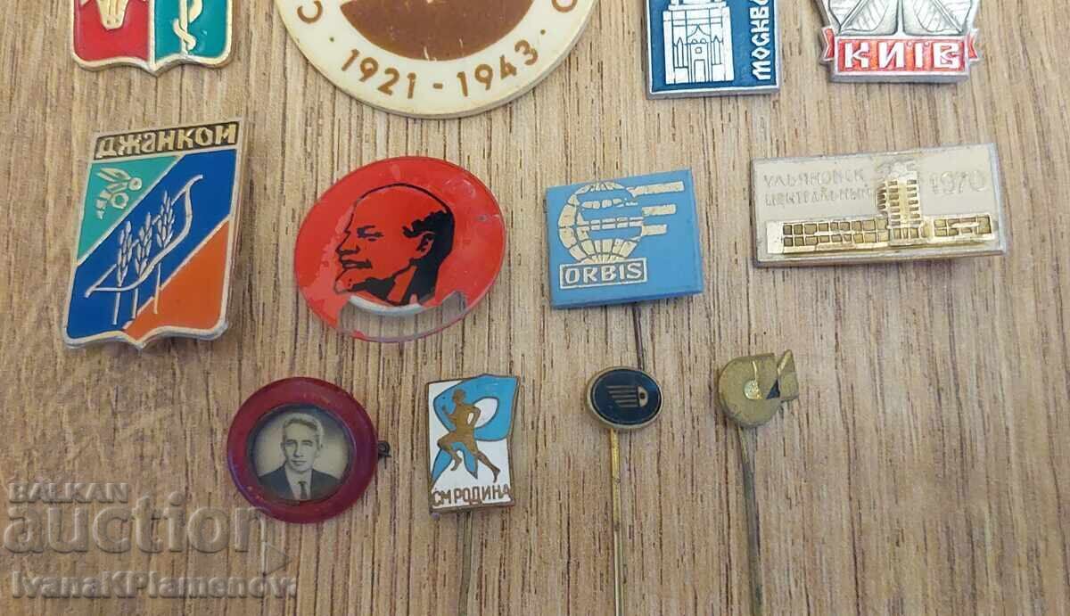 Auction  Collector's Badges, 12 Pieces