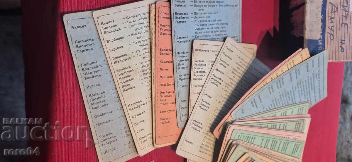 REDUCERI LA AMUR - 5