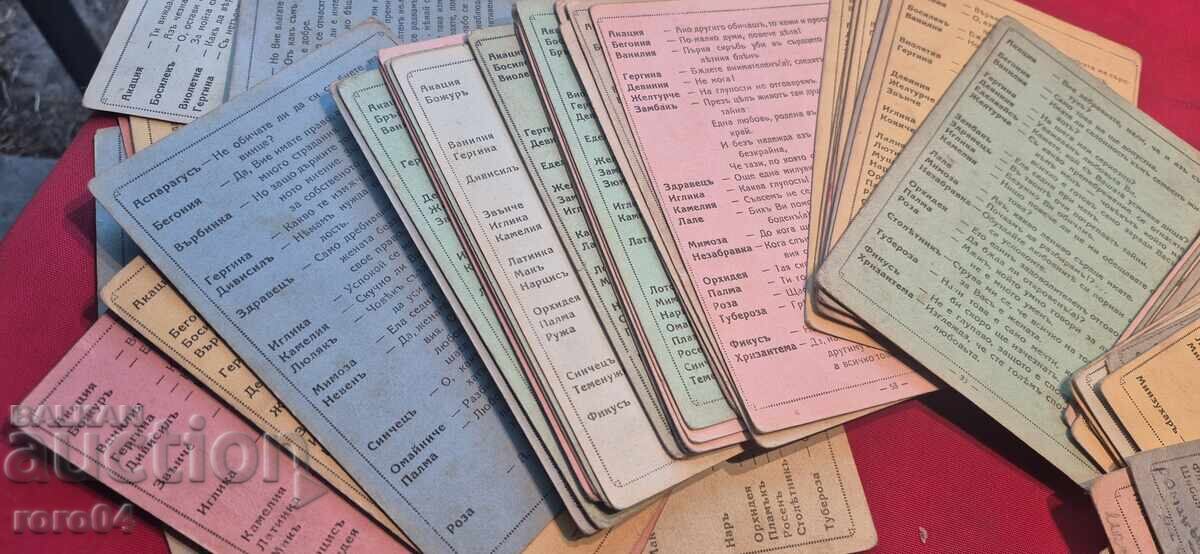 REDUCERI LA AMUR - 7