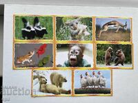 Calendar Seria Animale 8 bucăți 2012