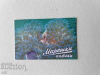 Mareski Calendar 2013