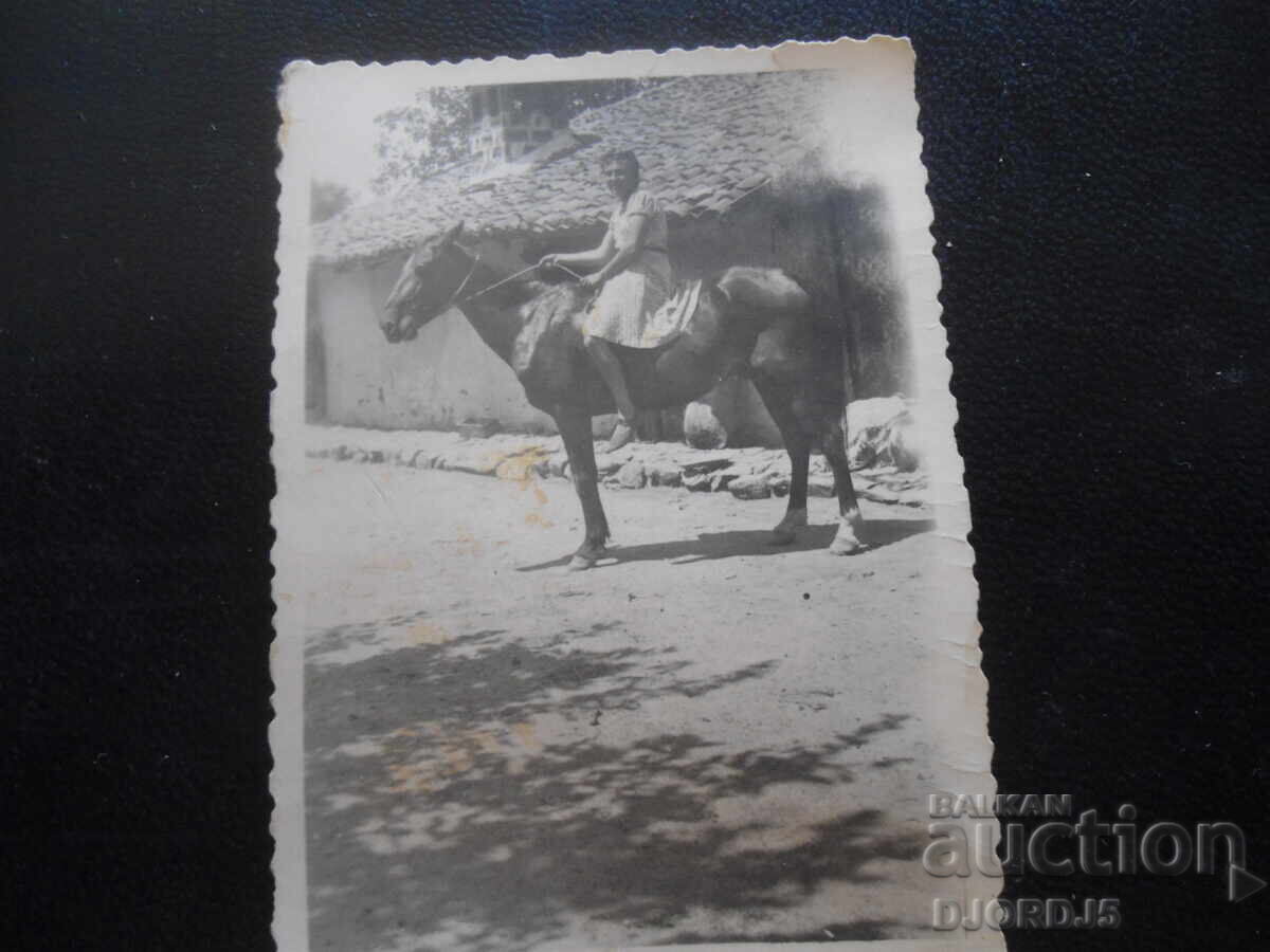 Old photo, VI.1943, village Vinogradets with price 1.00 BGN | € 0.51