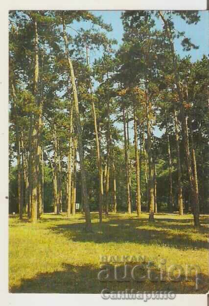 Bulgaria Card Burgas Miner.Baths Park*