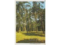 Κάρτα Βουλγαρία Μπουργκάς Μίνερ.μπάνι Πάρκο*