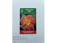 Ημερολόγιο Τσεχίας 2017