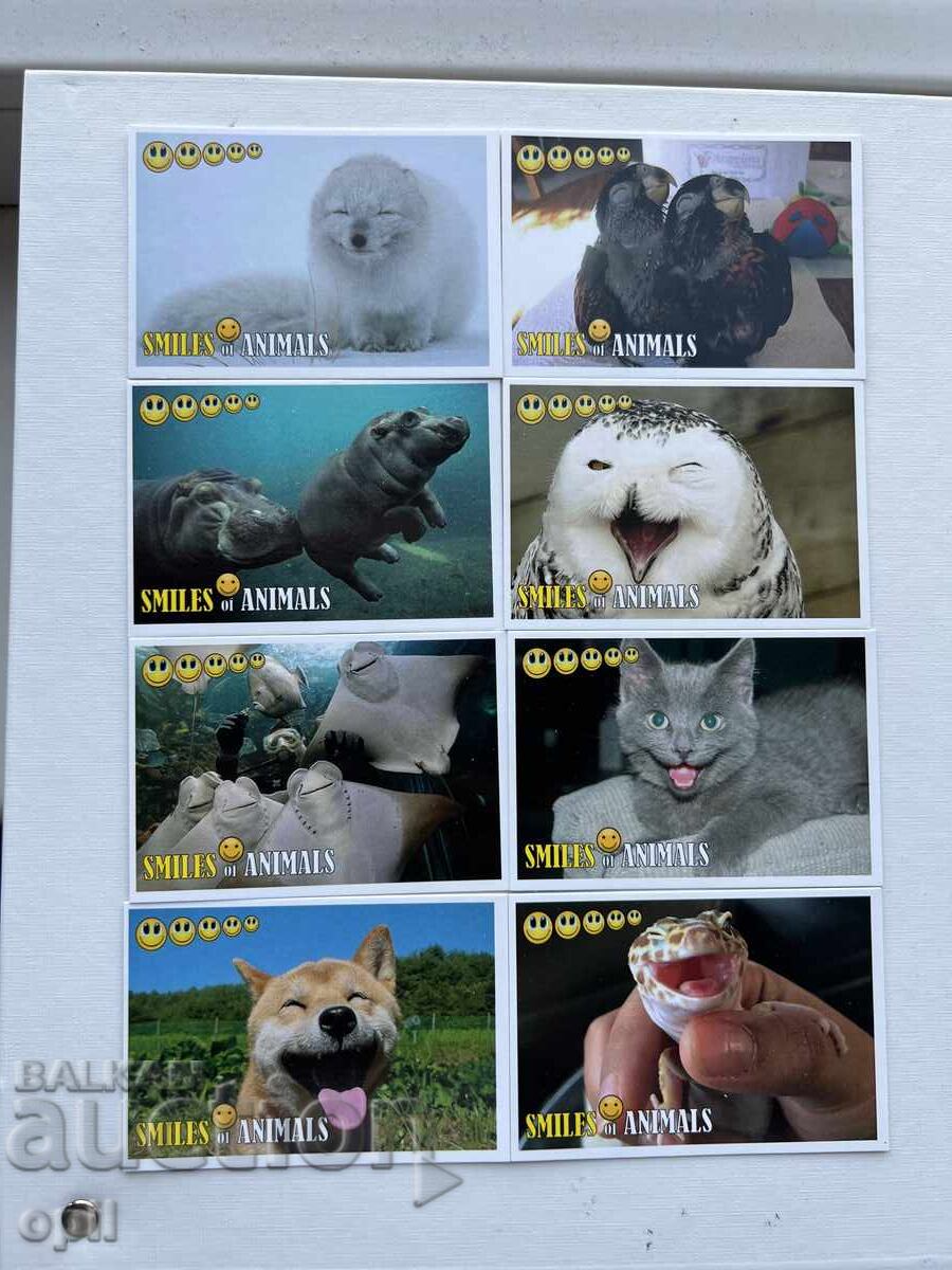 Аукцион Календарче  Серия  Животни с Усмивки  16 броя  2017