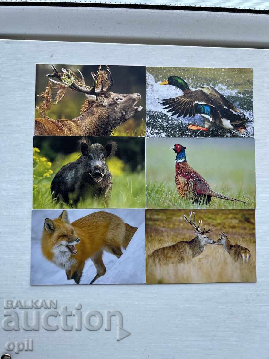 Календарче    2025