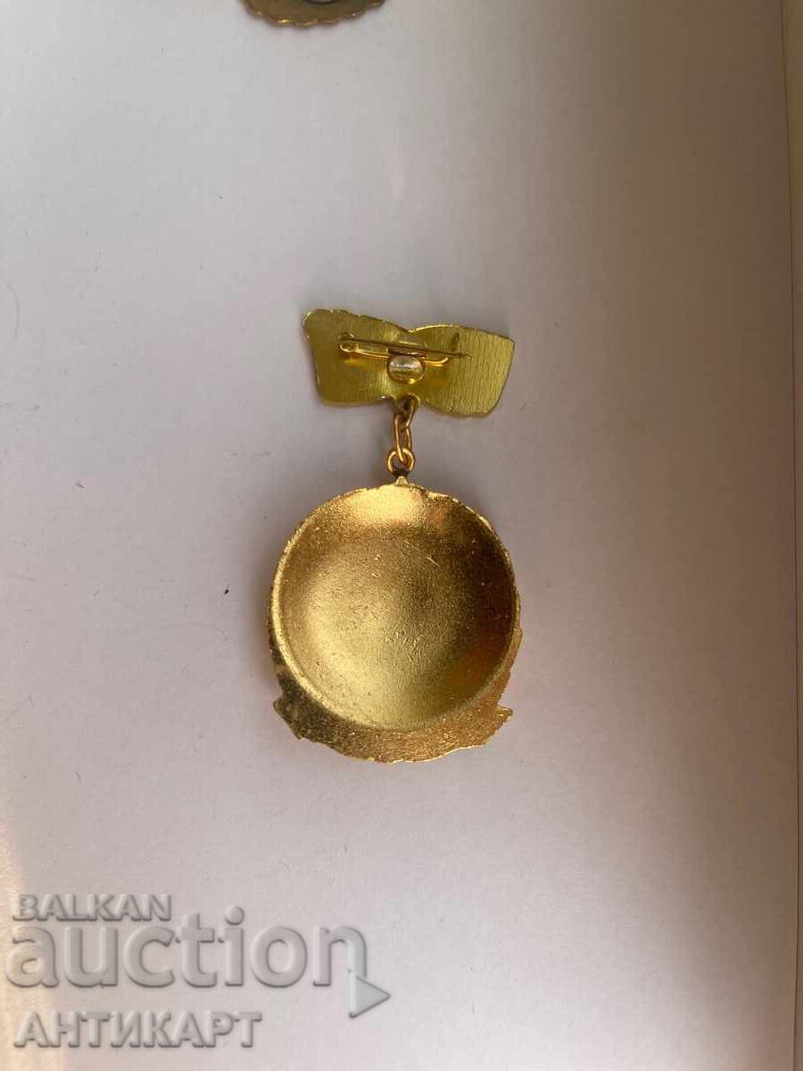 Rare Order For Maternal Glory, First Class with price 18.00 BGN | € 9.20 Rare Order For Maternal Glory, First Class with price 18.00 BGN | € 9.20