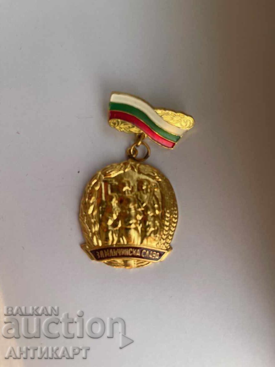 Rare Order For Maternal Glory, First Class Rare Order For Maternal Glory, First Class