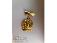 Rare Order For Maternal Glory, First Class