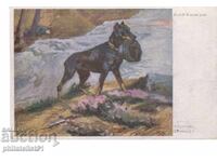 ΣΚΥΛΟΣ - ΠΙΣΤΟΣ ΣΥΝΤΡΟΦΟΣ ΜΑΧΗΣ ΠΕΡ. 19Υ18