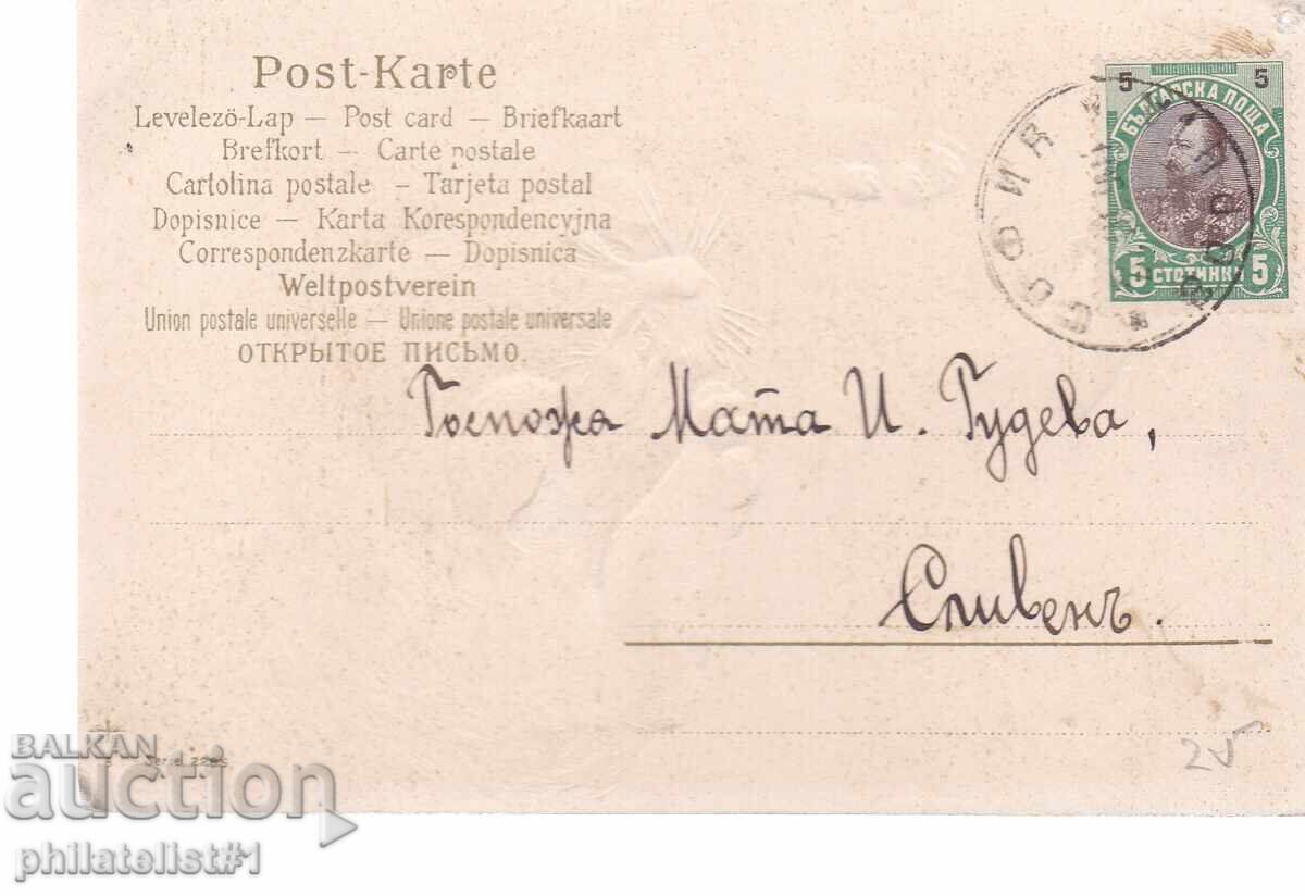 CAT AND BEETLE OK. 1904 with price 25.00 BGN | € 12.78