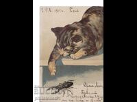 CAT AND BEETLE OK. 1904