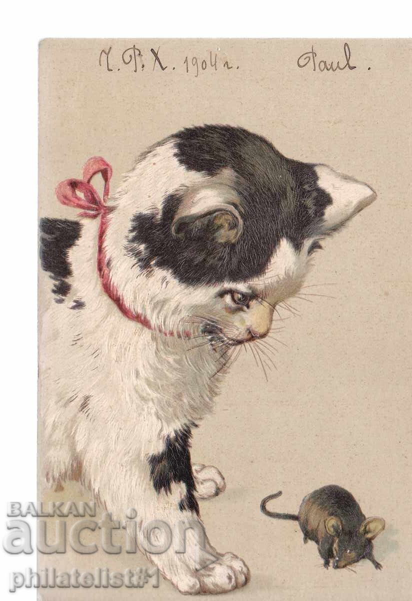 ΓΑΤΑ ΚΑΙ ΠΟΝΤΙΚΟΣ ΠΕΡΙΠΟΥ 1904 ΓΑΤΑ ΚΑΙ ΠΟΝΤΙΚΟΣ ΠΕΡΙΠΟΥ 1904