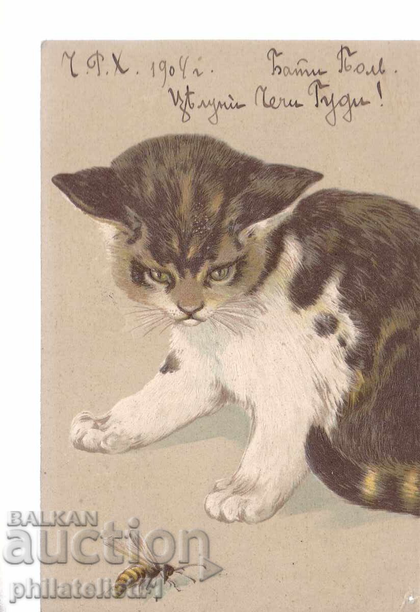 Cat and Bee, c. 1904 Cat and Bee, c. 1904