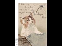 PISICĂ ȘI ȚÂNȚAR OK. 1904