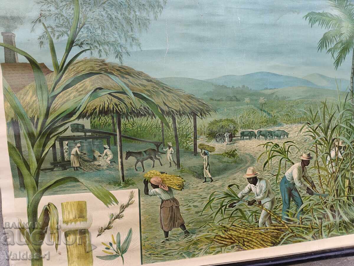 Παλιά σχολική κάρτα με τιμή 160.00 BGN | € 81.81