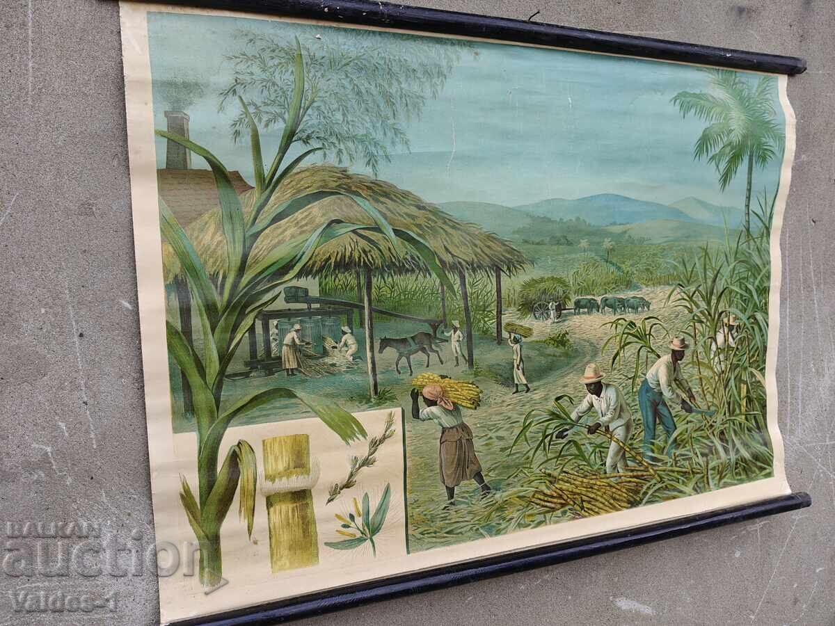 Δημοπρασία Παλιά σχολική κάρτα