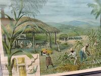 Παλιά σχολική κάρτα