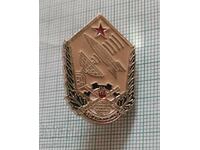Badge - Air Defense BNA Rocket Troops