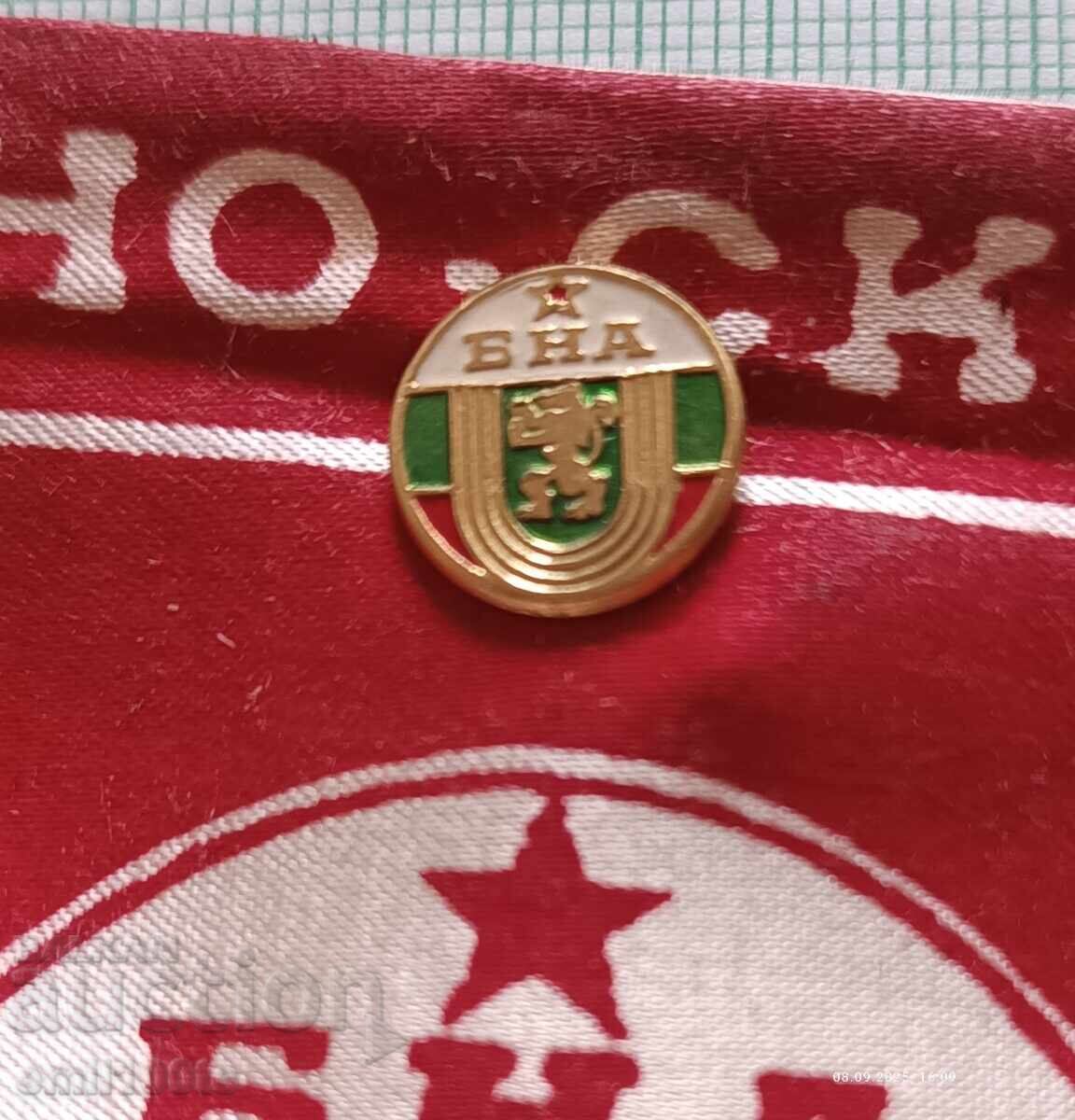 Delivery of Flag with 3 BNA MNO SKDA badges