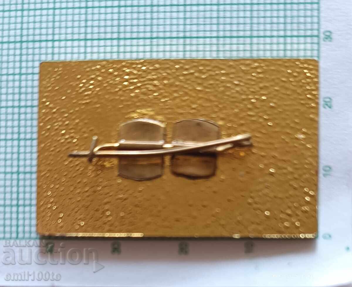 Delivery of Badge - CONTROL