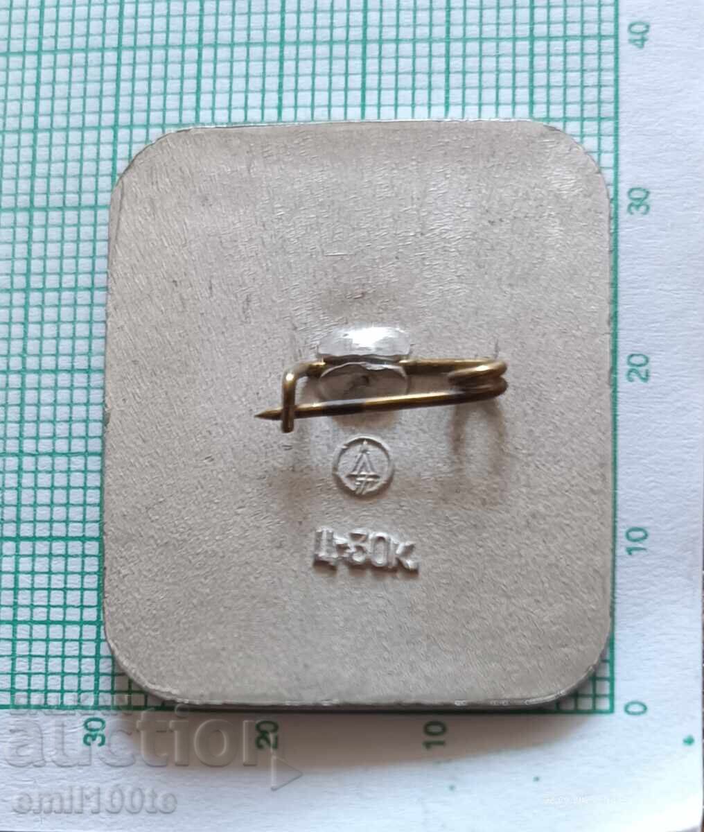 Badge - Misha Olympiad Moscow 80 - 5