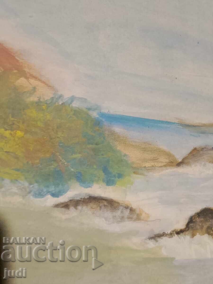 Livrarea Acuarelă veche Livrarea Acuarelă veche