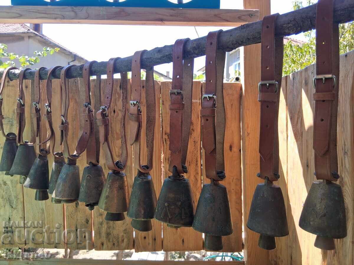 Clopote, Clopot, Clopoței