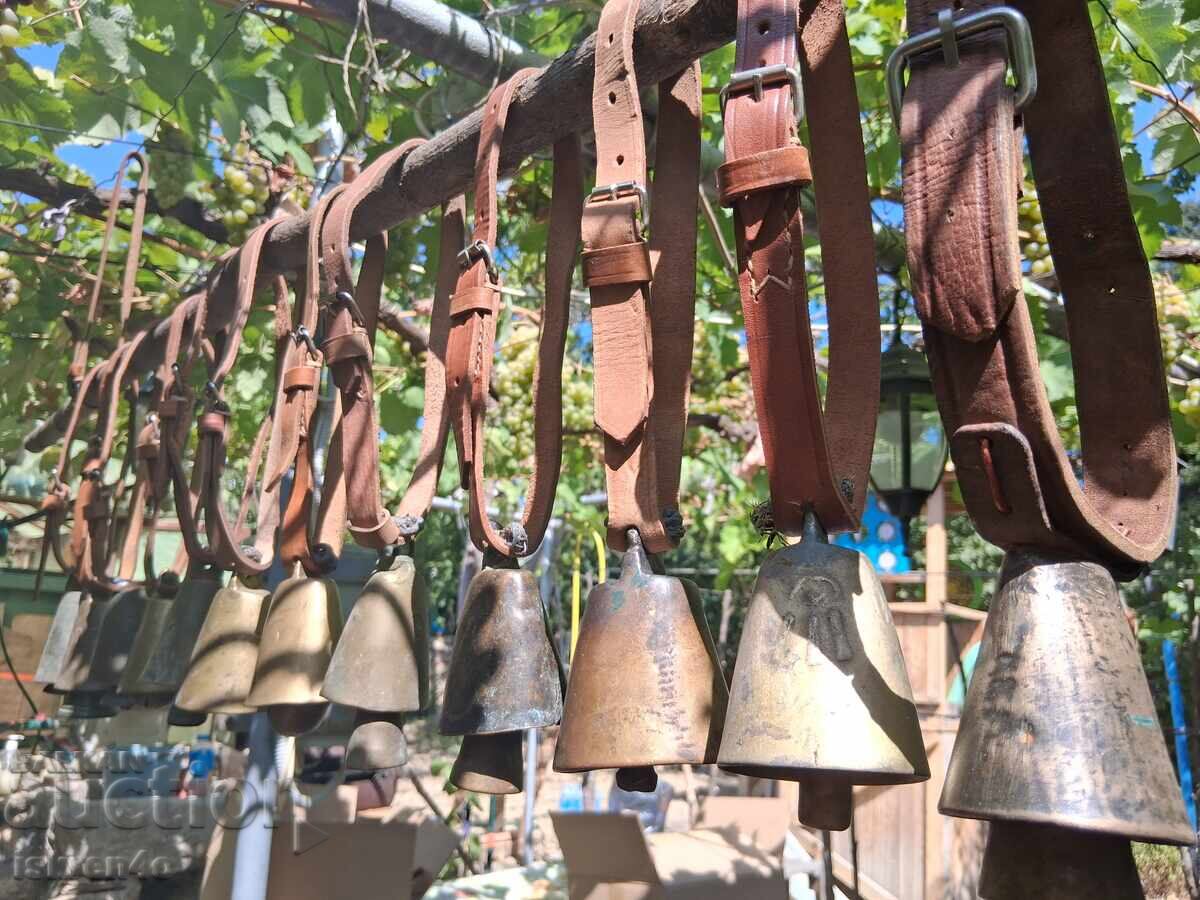 Bells, Chimes, Cowbells with price 1200.00 BGN | € 613.55