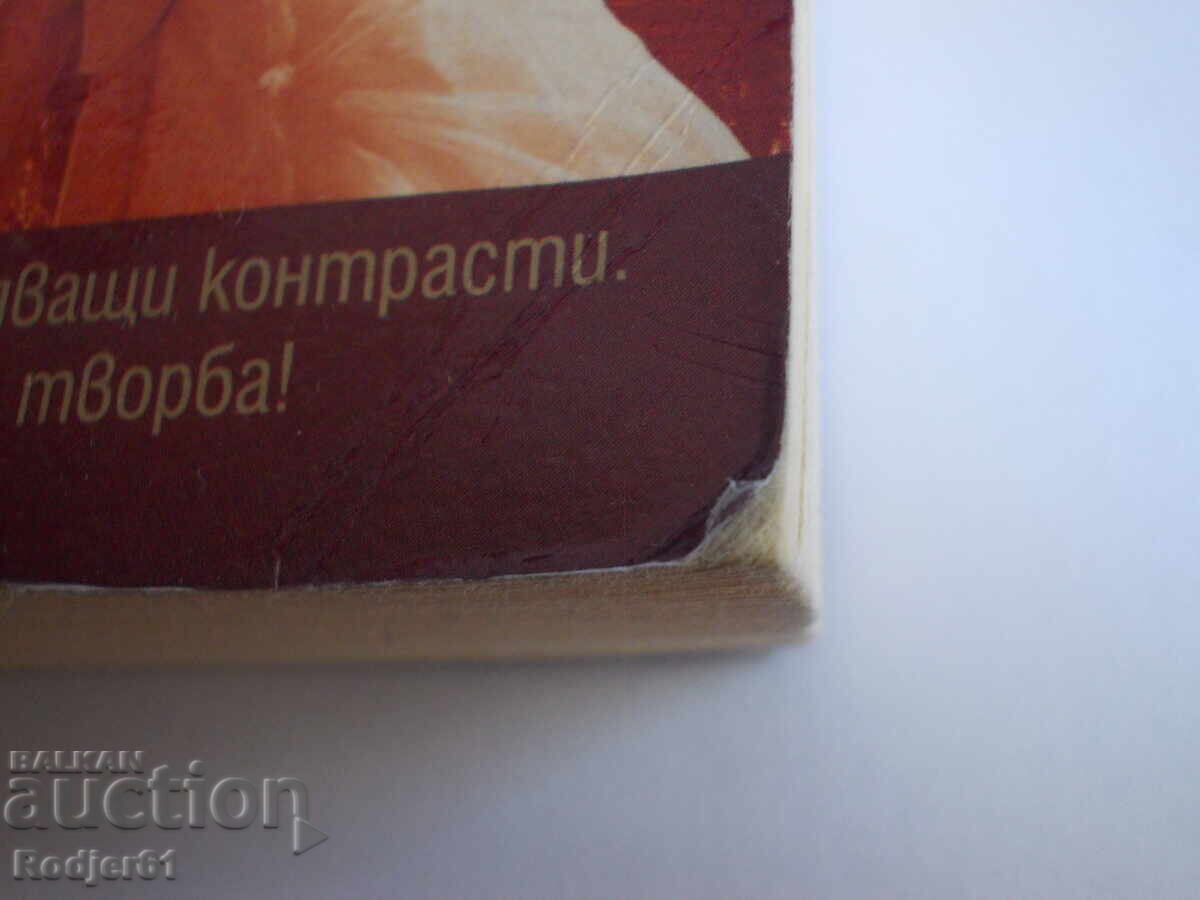 Books - Danielle Steel - Safe Harbour with price 6.00 BGN | € 3.07